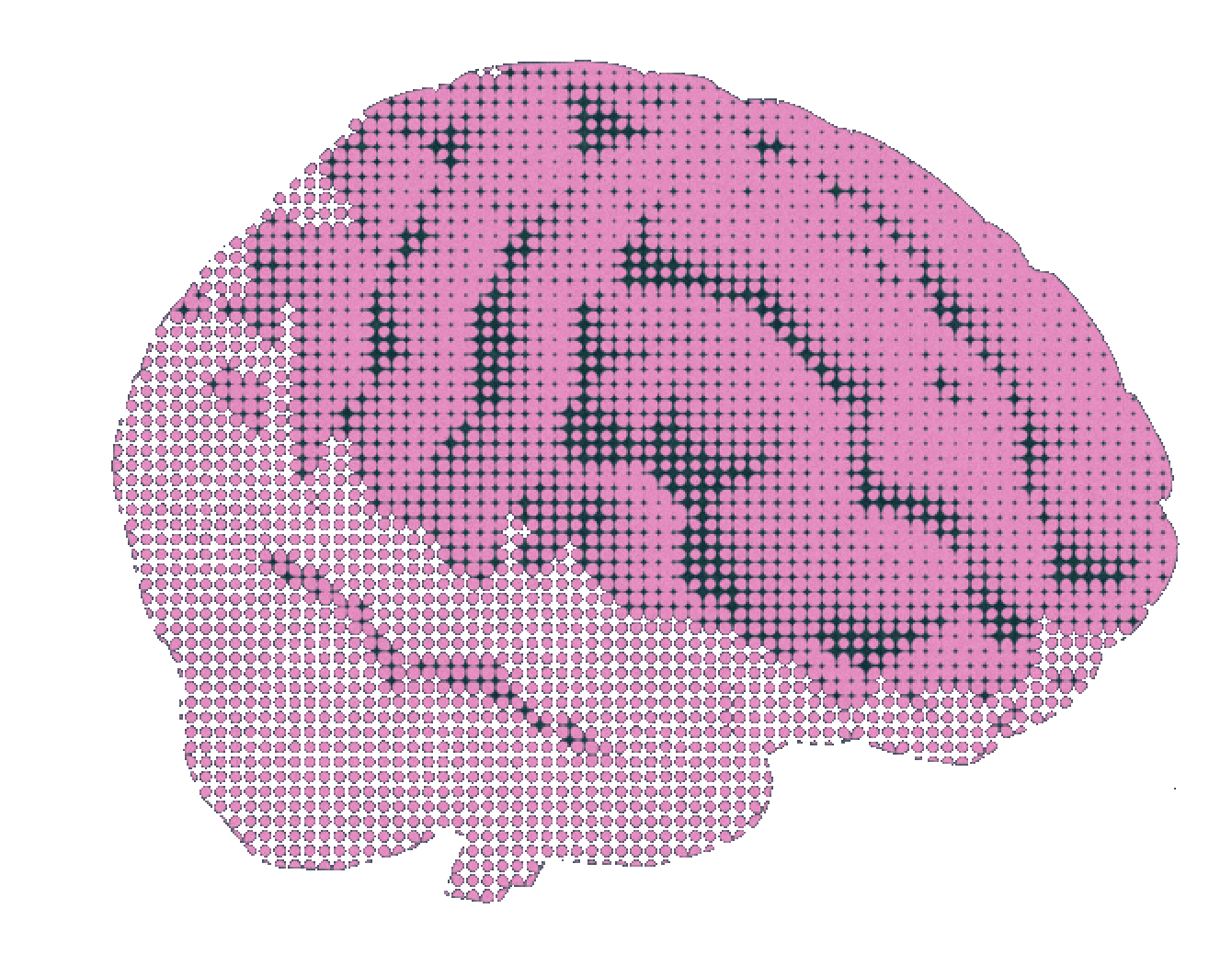 GrayMatter Memory